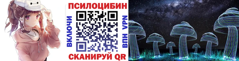 Псилоцибиновые грибы мицелий  дарнет шоп  Новоаннинский 