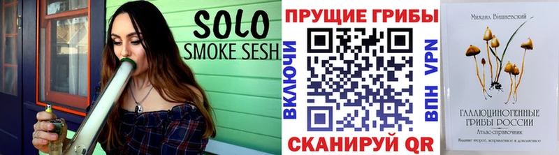 Псилоцибиновые грибы Cubensis Новоаннинский